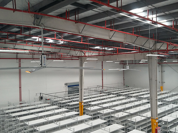 工業大風扇 工業大風扇